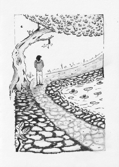 Dappled shadows